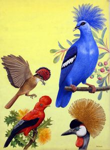 Nature Wonderland: Birds with Crowns art by Reginald B Davis