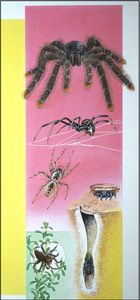 World of Spiders art by Reginald B Davis