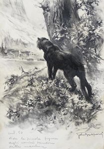The Prowling Wild Cat art by Giorgio De Gaspari