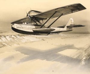 Flying to the North Pole art by Wilf Hardy