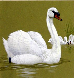 The Ugly Duckling (7) art by Kenneth Lilly