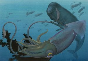 Sperm Whale and Giant Squid art by Bernard Long