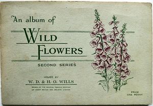Complete Set of 50 'Wild Flowers' Wills Cigarette Cards in album (1936)
