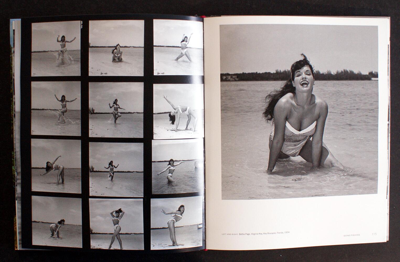 Bettie Page: Queen of Curves by Petra Mason