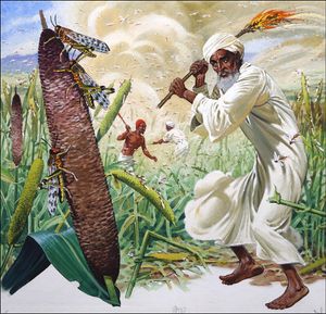 Locusts - Not only a Biblical Plague art by Bernard Long