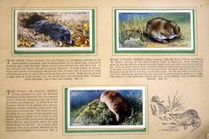 Complete Set of 50 Animals of the Countryside Cigarette cards in album (1939) by Various