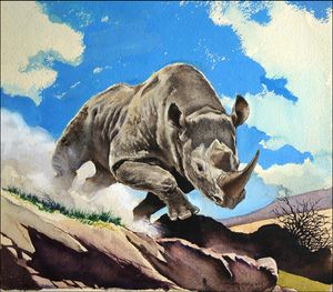 White Rhinoceros art by G W Backhouse