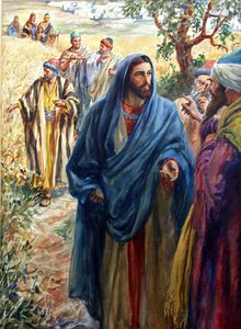 Jesus and Disciples in Cornfield art by Henry Coller