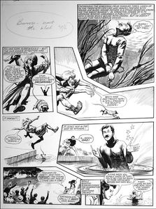 Catweazle - Drowned Rat (TWO pages) art by Gerry Embleton