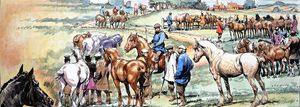 Black Beauty - Horse Fair art by Carlos Roume