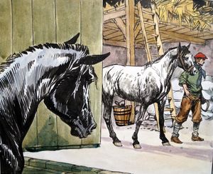 Black Beauty - In The Stable art by Carlos Roume