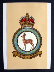 R.A.F. Badge: School Of Physical Training art by 20th Century unidentified artist