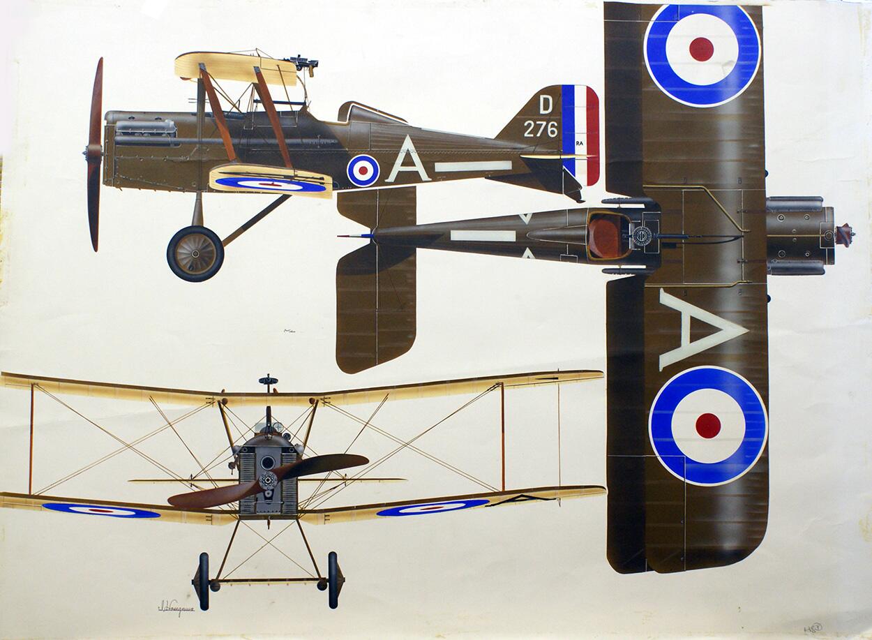 S.E.5a of the Royal Air Force art by Hasegawa