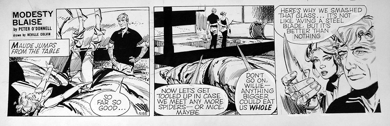 Modesty Blaise daily strip 5185 art by Neville Colvin