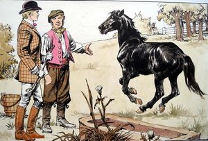 Black Beauty - This Is The Nag art by Carlos Roume