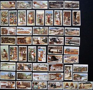 Complete Set of 50 'Products Of The World' John Player & Sons Cigarette Cards (1908)