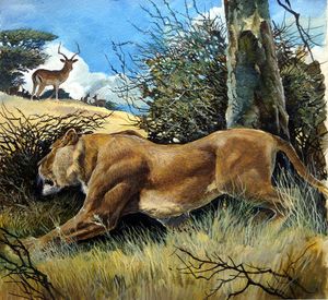 Law of the Wild art by G W Backhouse