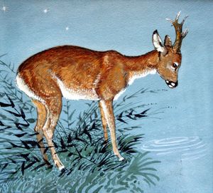 Fallow Deer art by Reginald B Davis