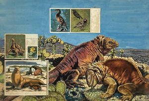 Galapagos - The Island Lost in Time art by Harry Green