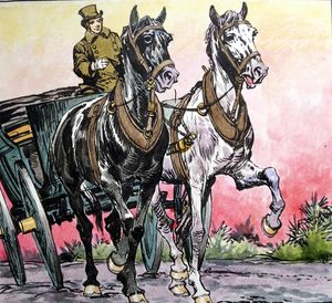 Black Beauty - Sunset art by Carlos Roume