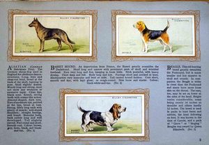 Complete Set of 50 Dogs Cigarette cards in album (1931) by Various