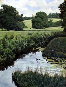 Simon Turvey artist biography