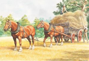 Horse Drawn Transport (Ron Embleton) Art