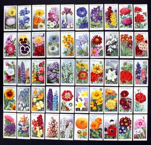 Cigarette Cards: Garden Flowers (1933) (50 cards)