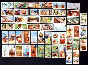 Cigarette Cards: Garden Hints (1938) (50 cards)