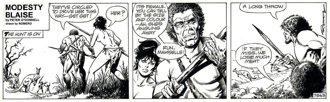 Modesty Blaise daily strip #7563 - The Hunt Is On art by Enric Badia Romero