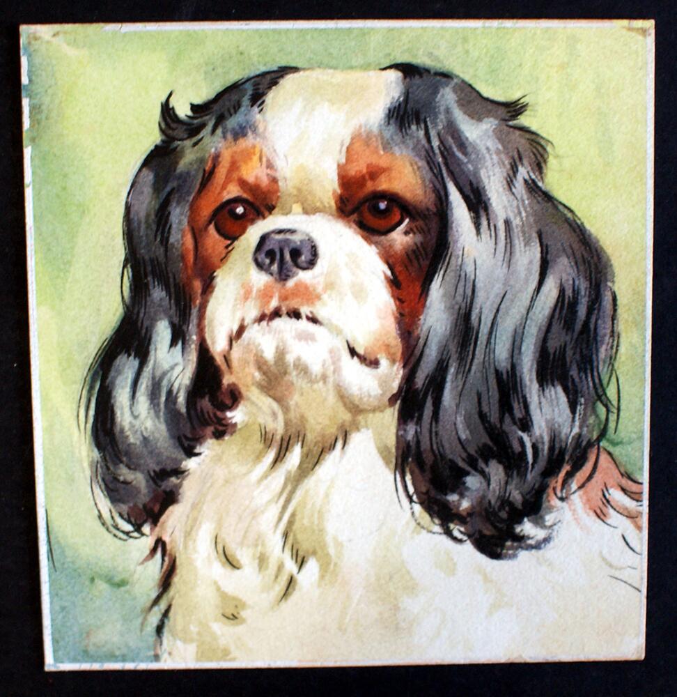 King George Spaniel art by James E McConnell