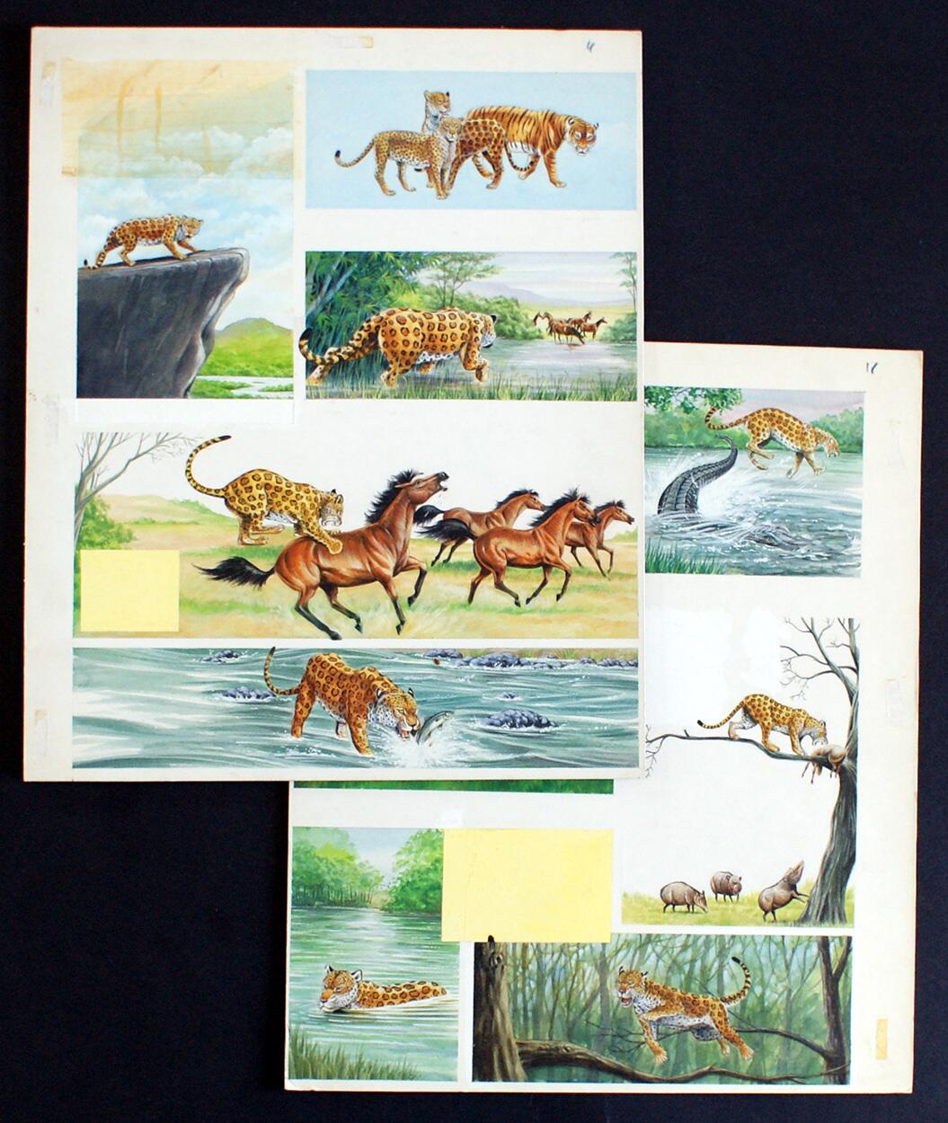 Graham Allen artist biography
