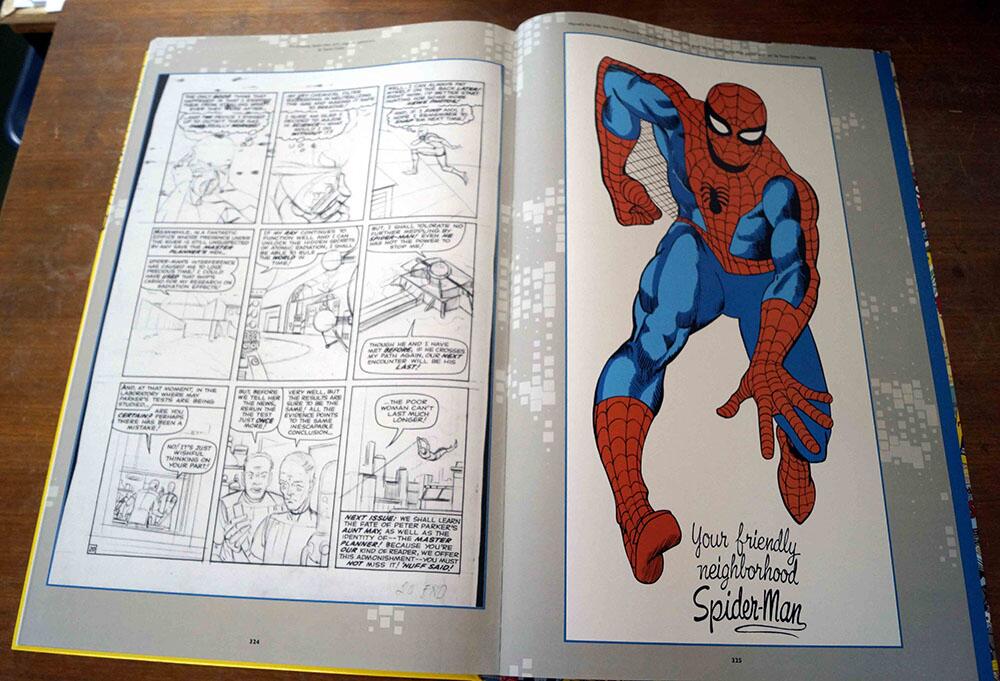 Ditko is Amazing by Various
