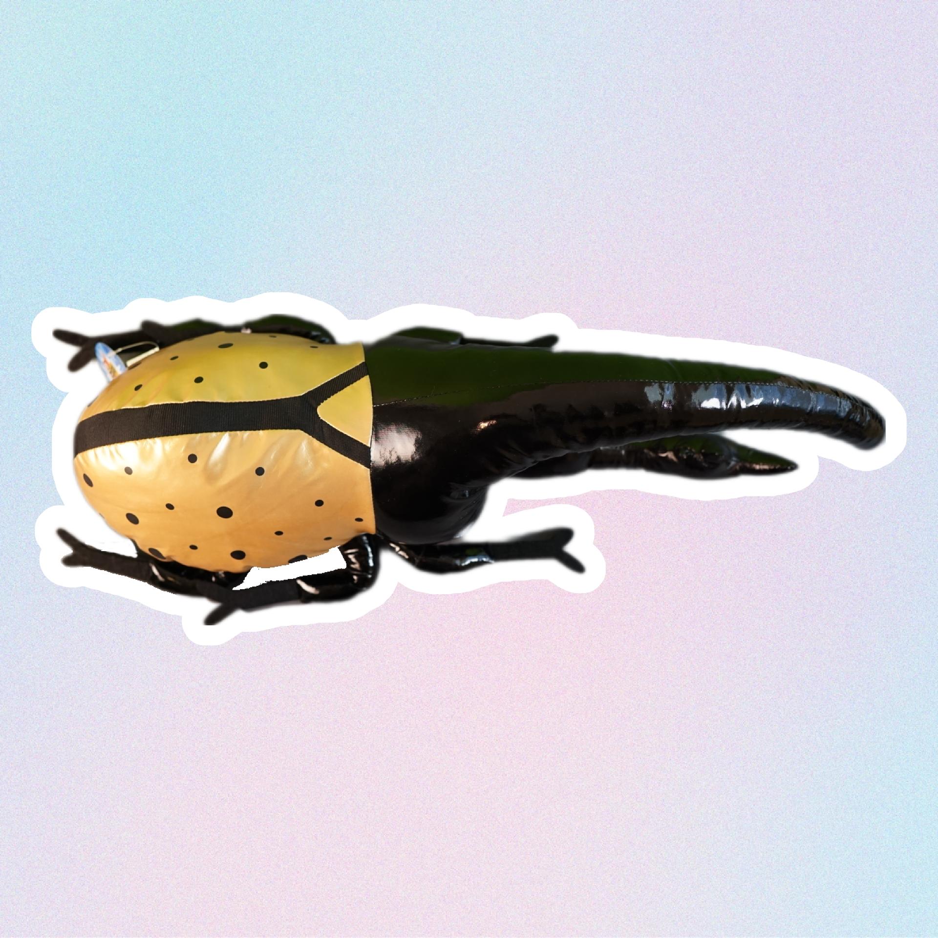 hercules beetle gold top