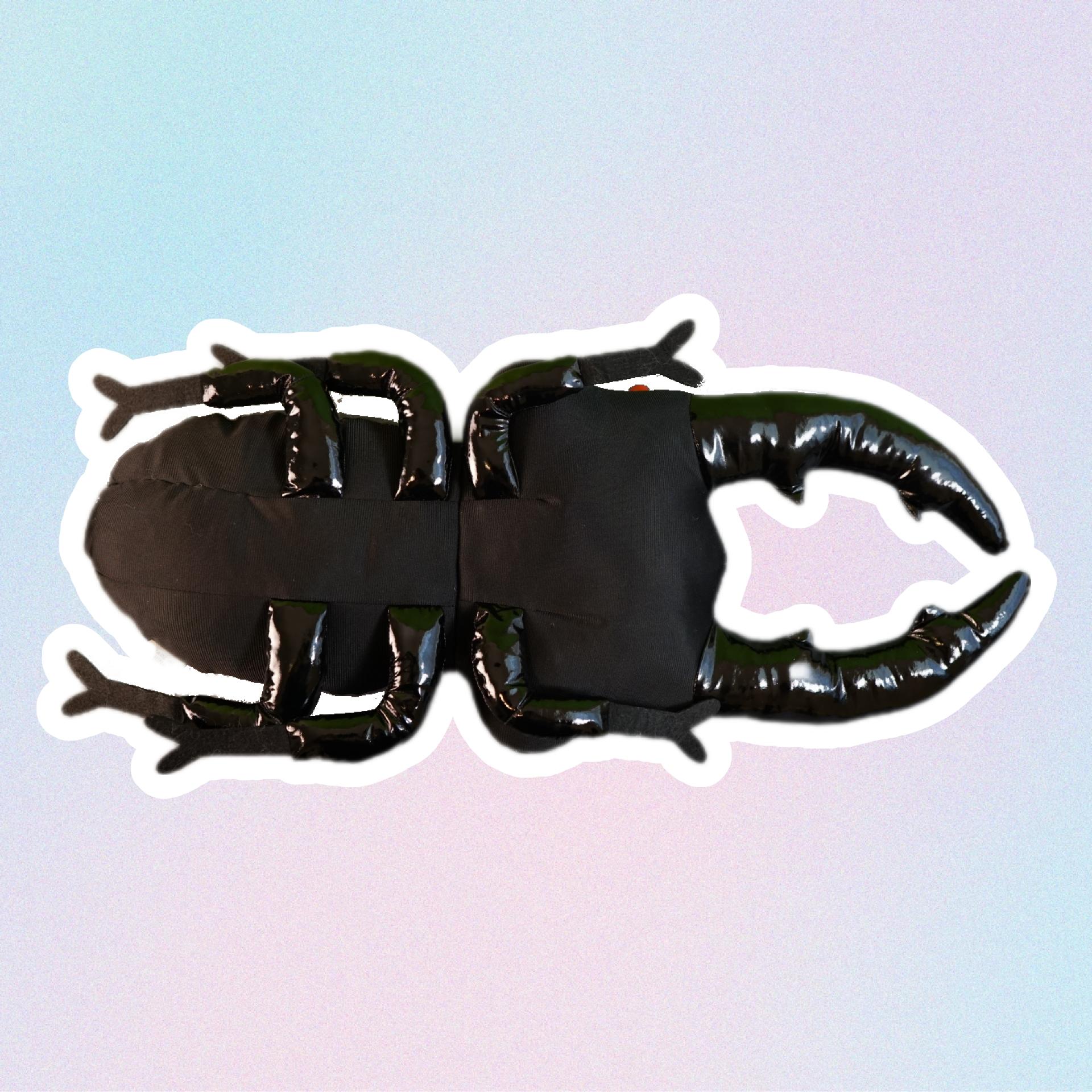stag beetle bottom