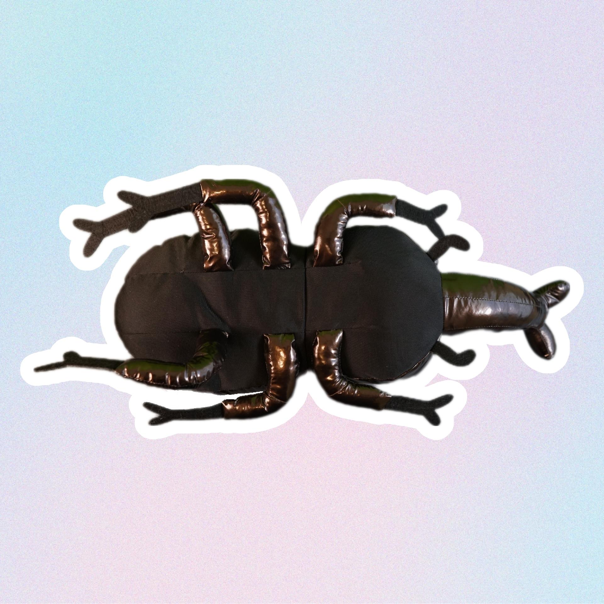 elephant beetle bottom