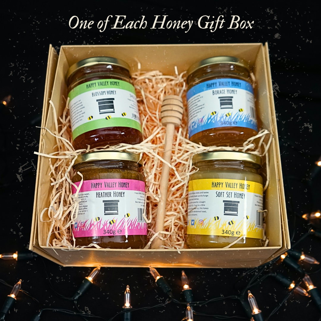 One of Each Gift box containing 4 jars of honey surrounded by pretty white christmas lights