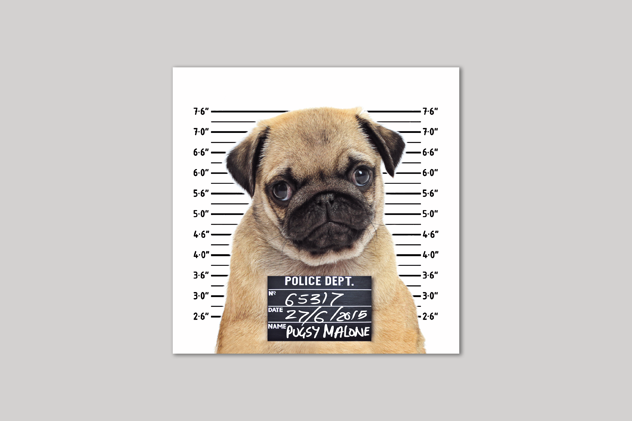Pugsy Malone from Exposure range of photographic cards by Icon.