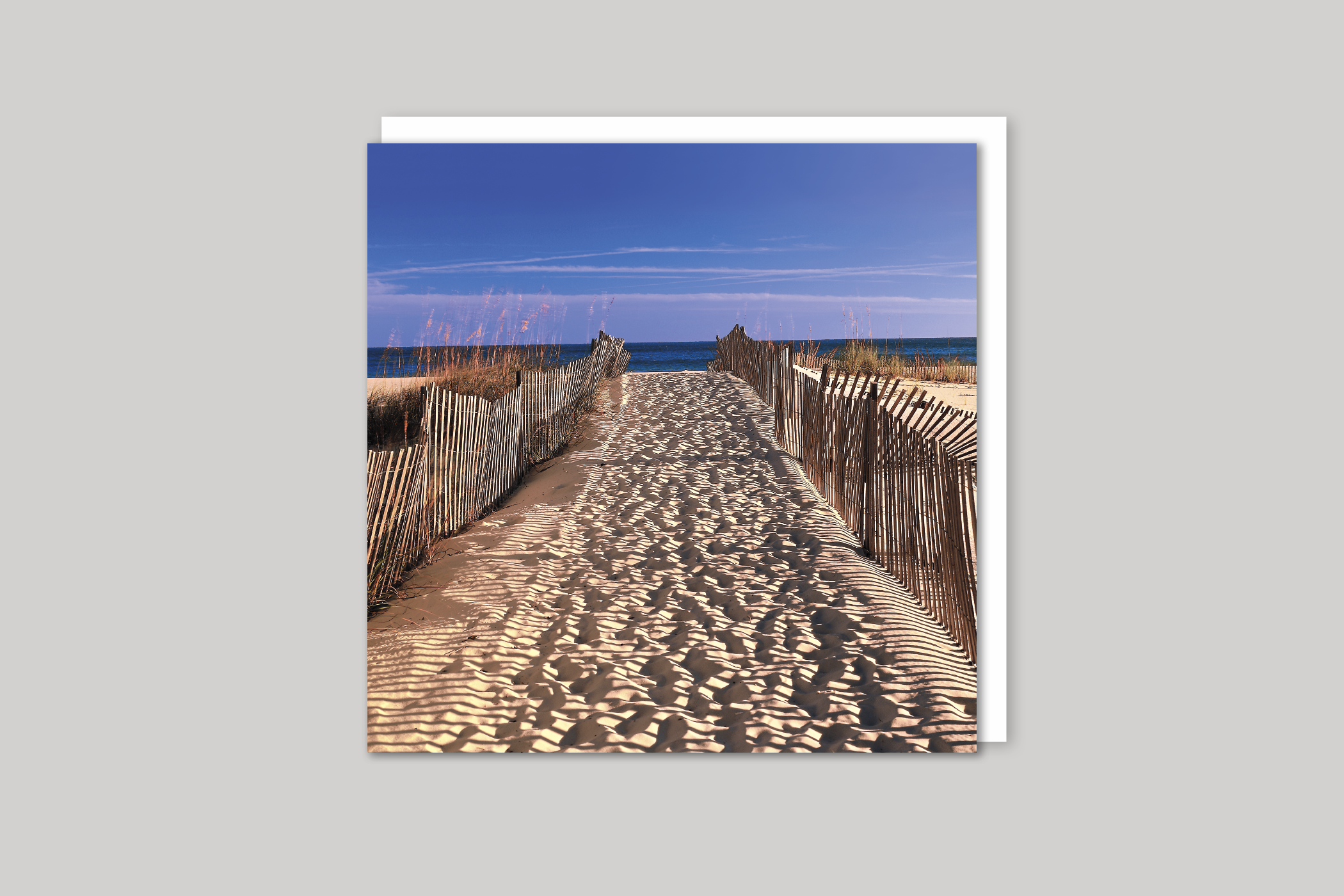 Beach Pathway from Exposure range of photographic cards by Icon, back page.