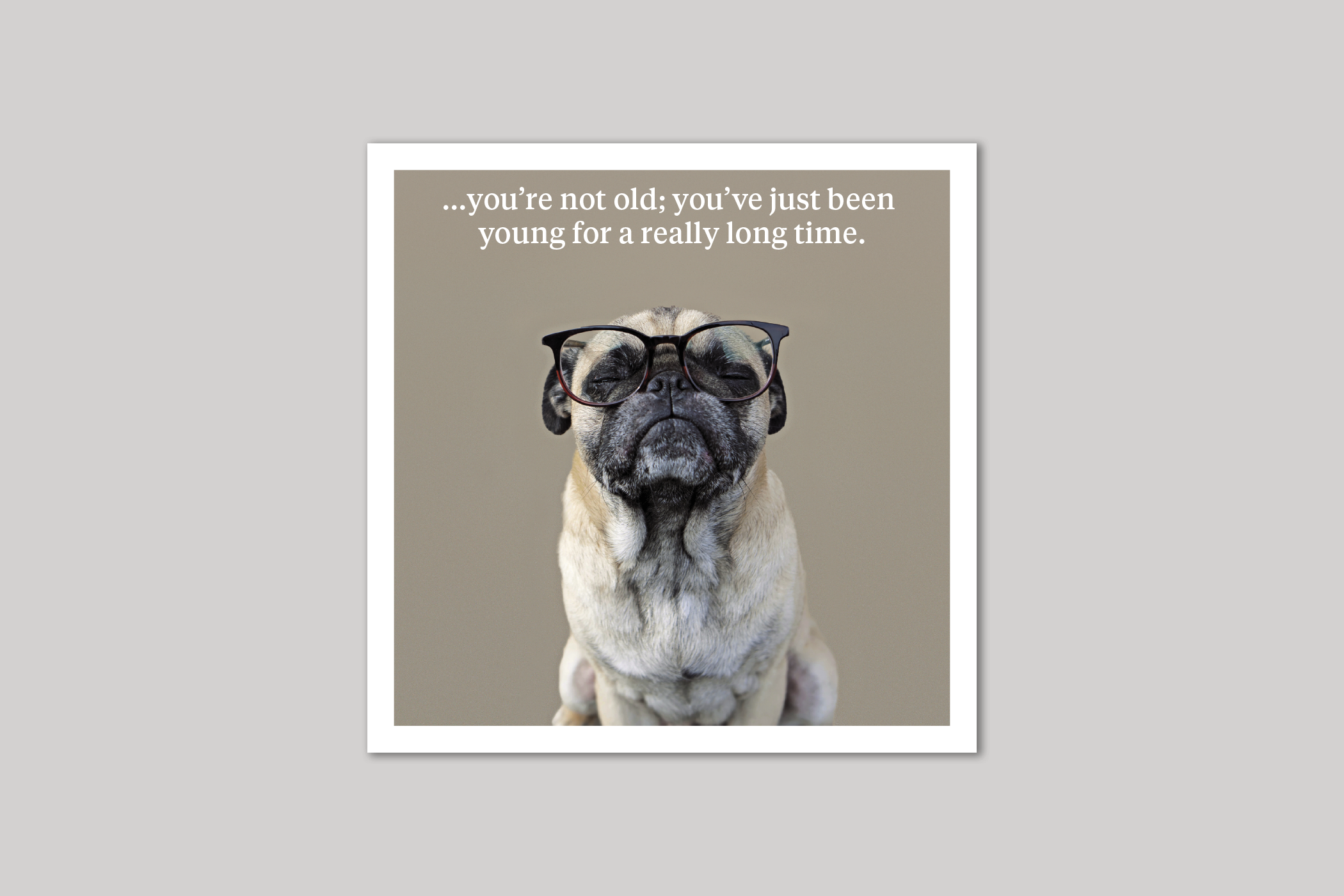 You're Not Old quirky animal portrait from Curious World range of greeting cards by Icon.