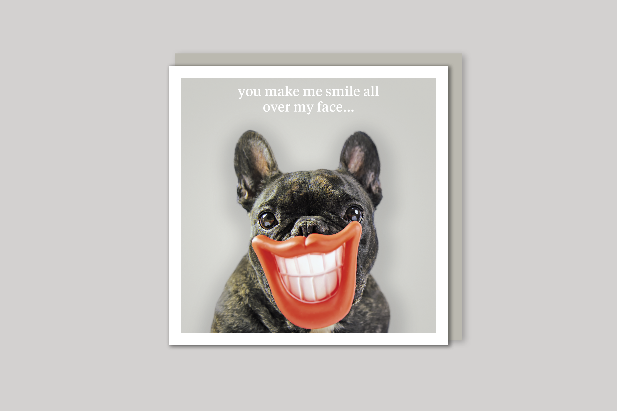 Smiling All Over My Face quirky animal portrait from Curious World range of greeting cards by Icon, back page.