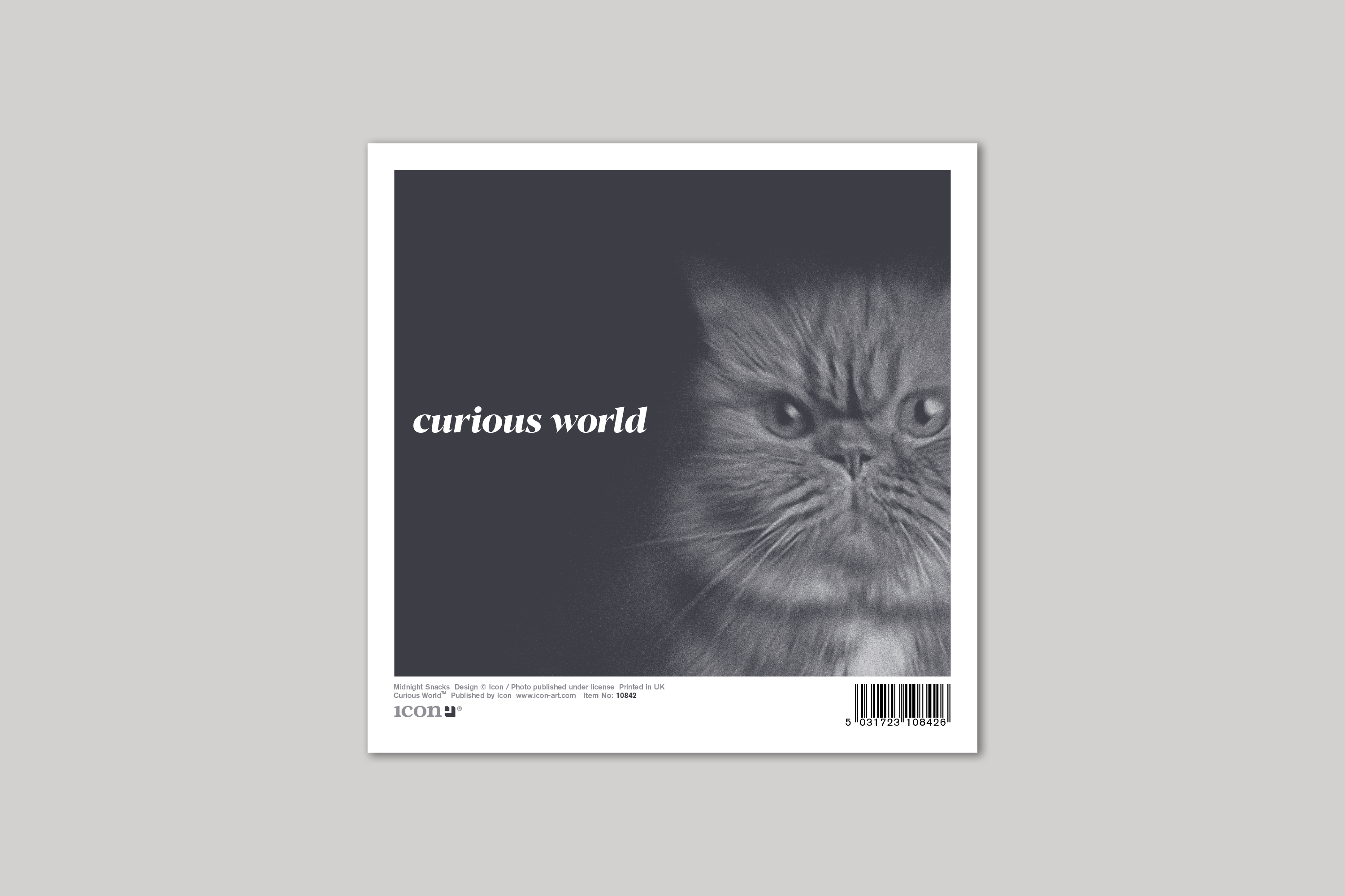 Midnight Snacks quirky animal portrait from Curious World range of greeting cards by Icon, back page.