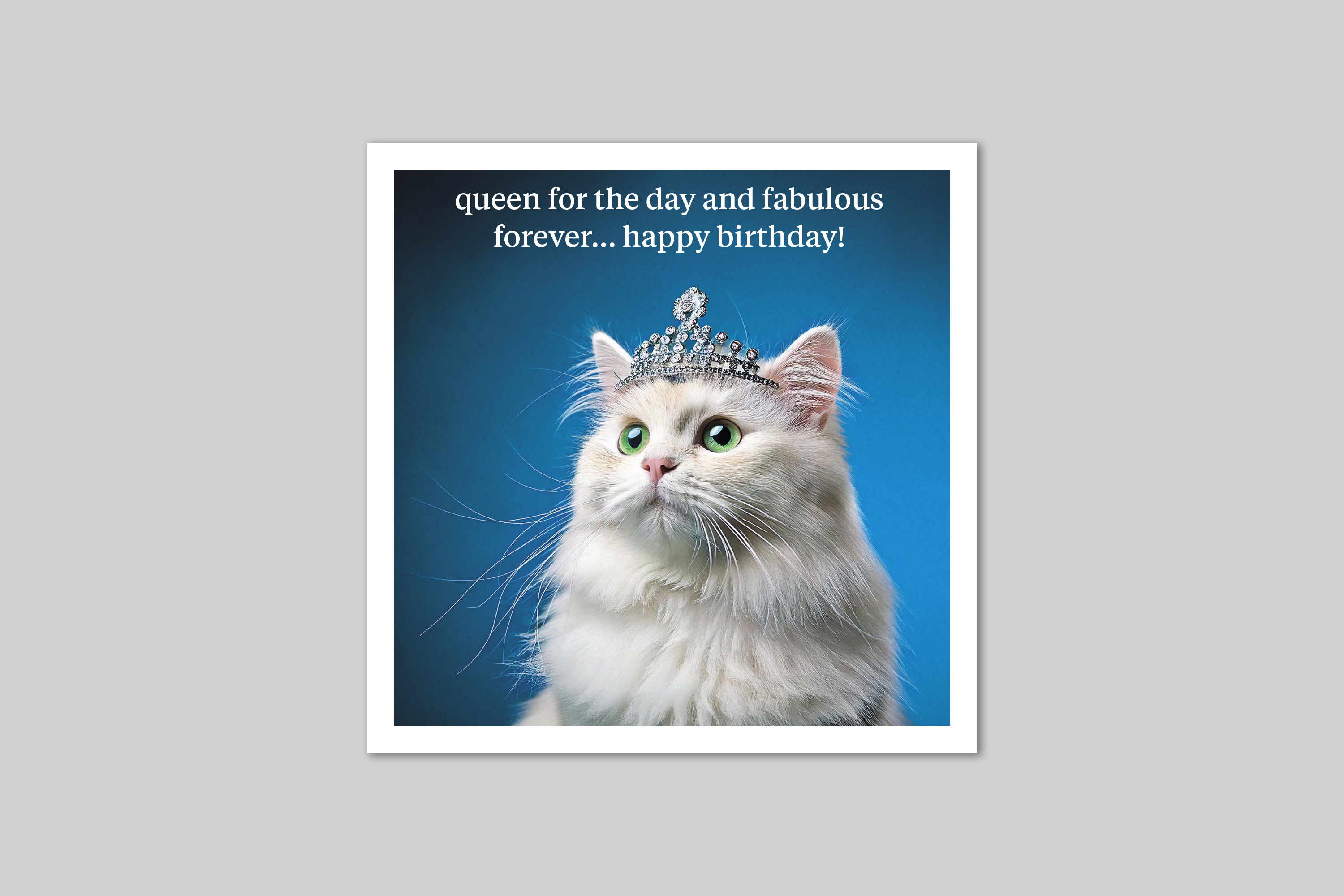 Queen for the Day quirky animal portrait from Curious World range of greeting cards by Icon.