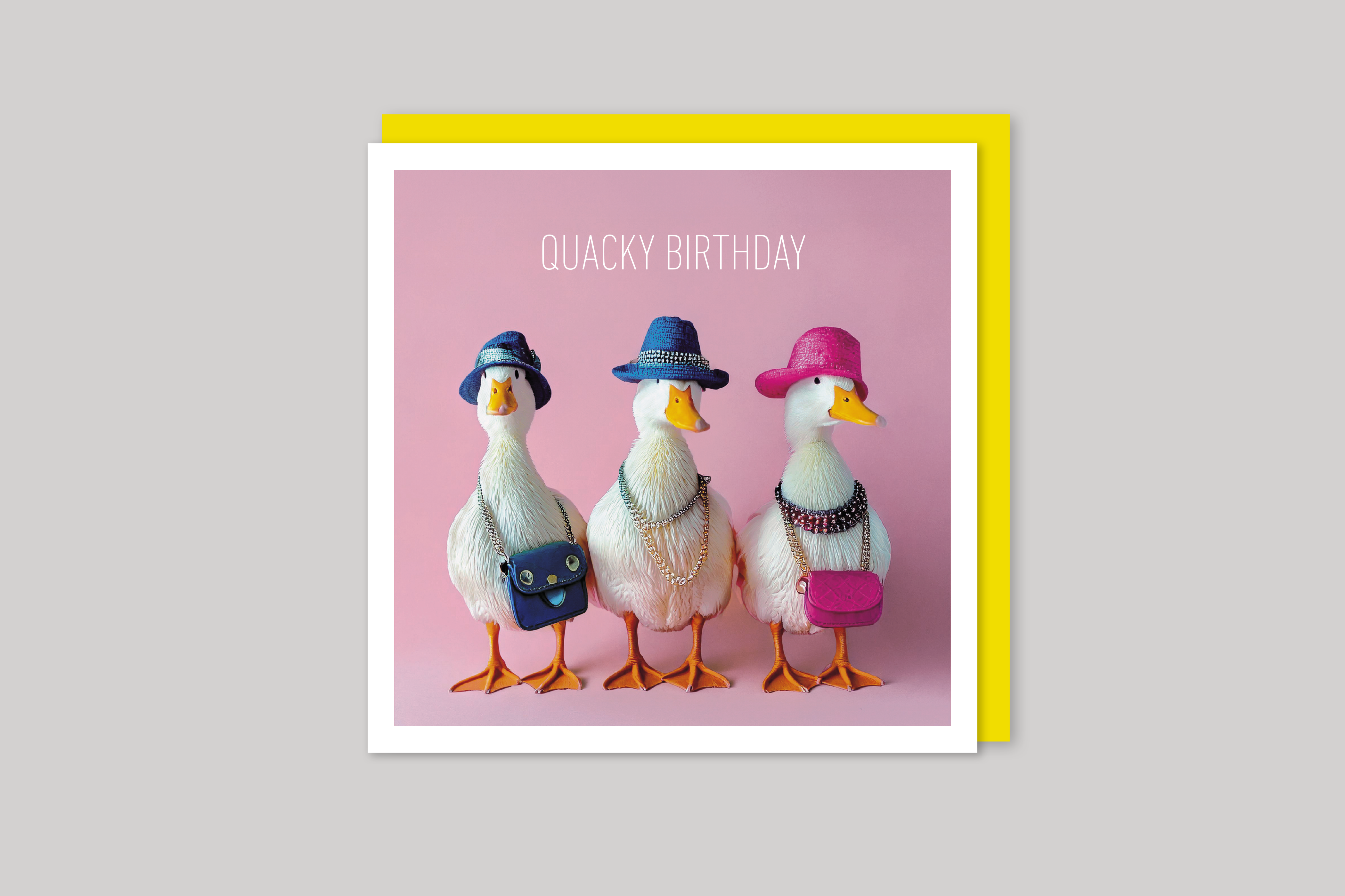 Quacky Birthday is from Coola Coola an uber-cool range of animal cards published by Icon, with envelope.