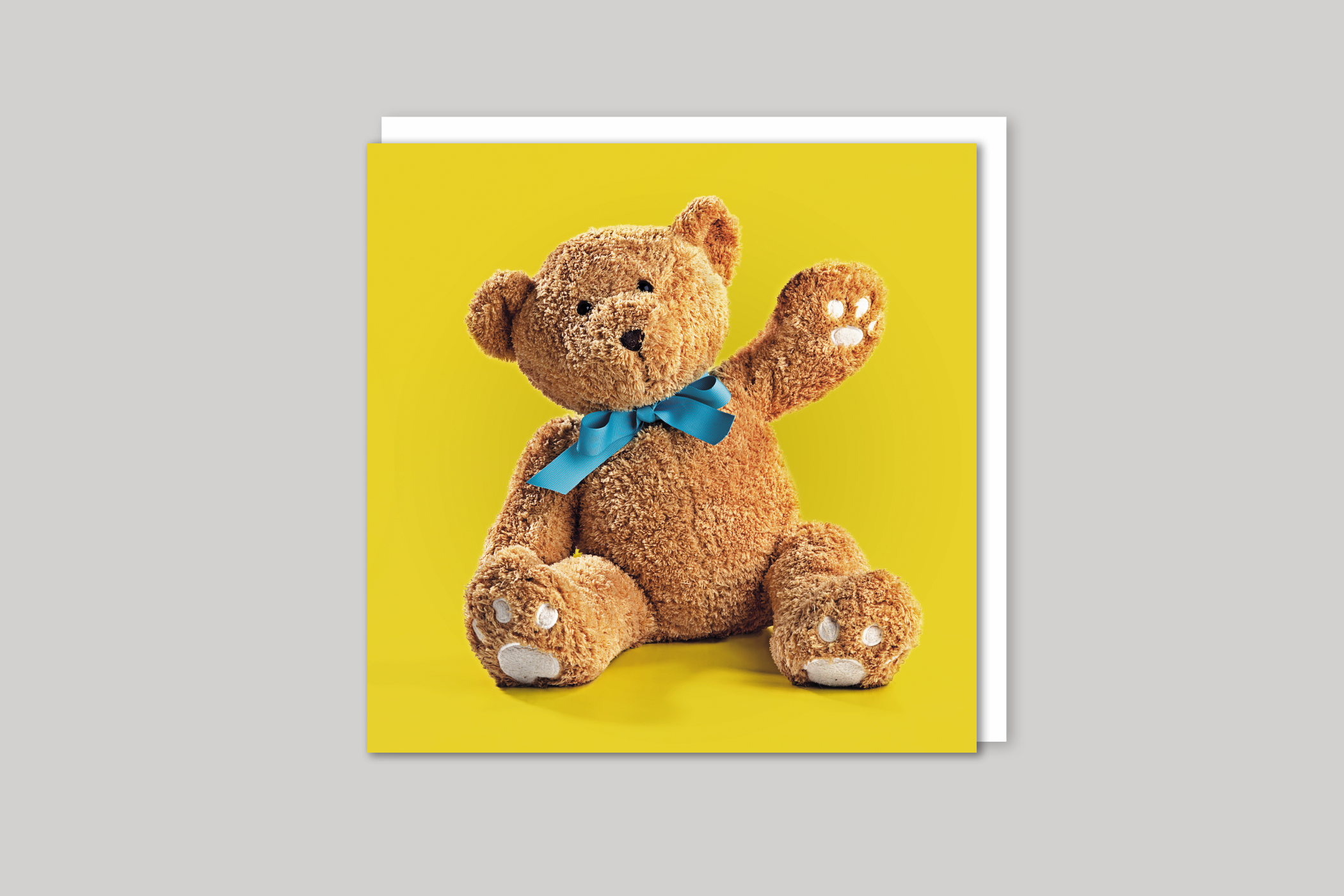 Big Ted from Exposure range of photographic cards by Icon, back page.