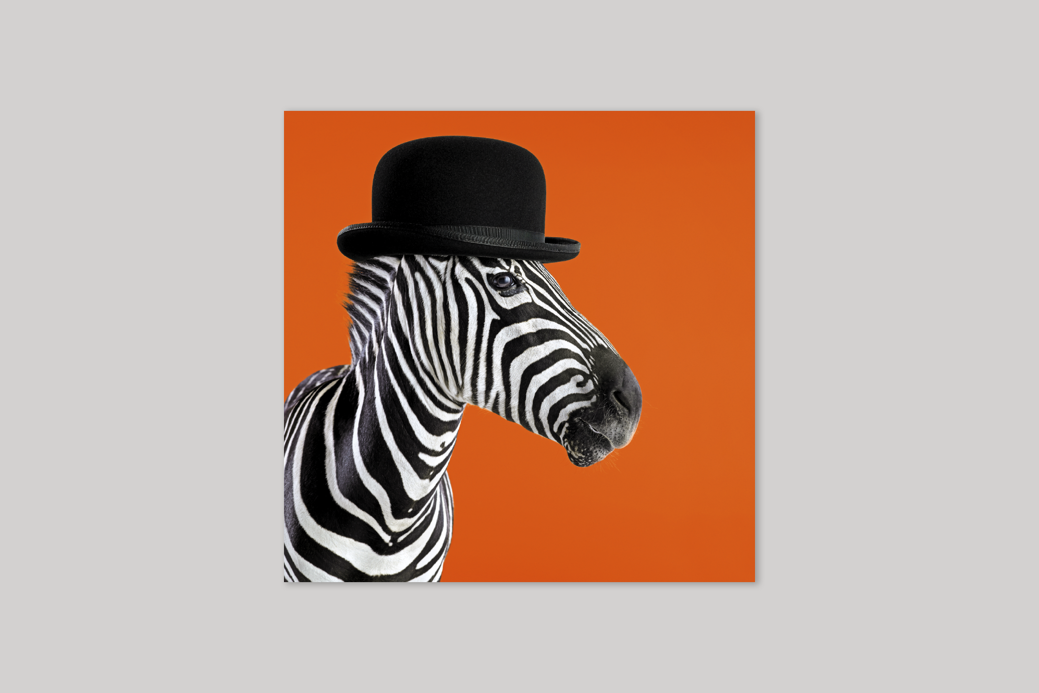 Clockwork Zebra from Wildthings range of greeting cards by Icon.