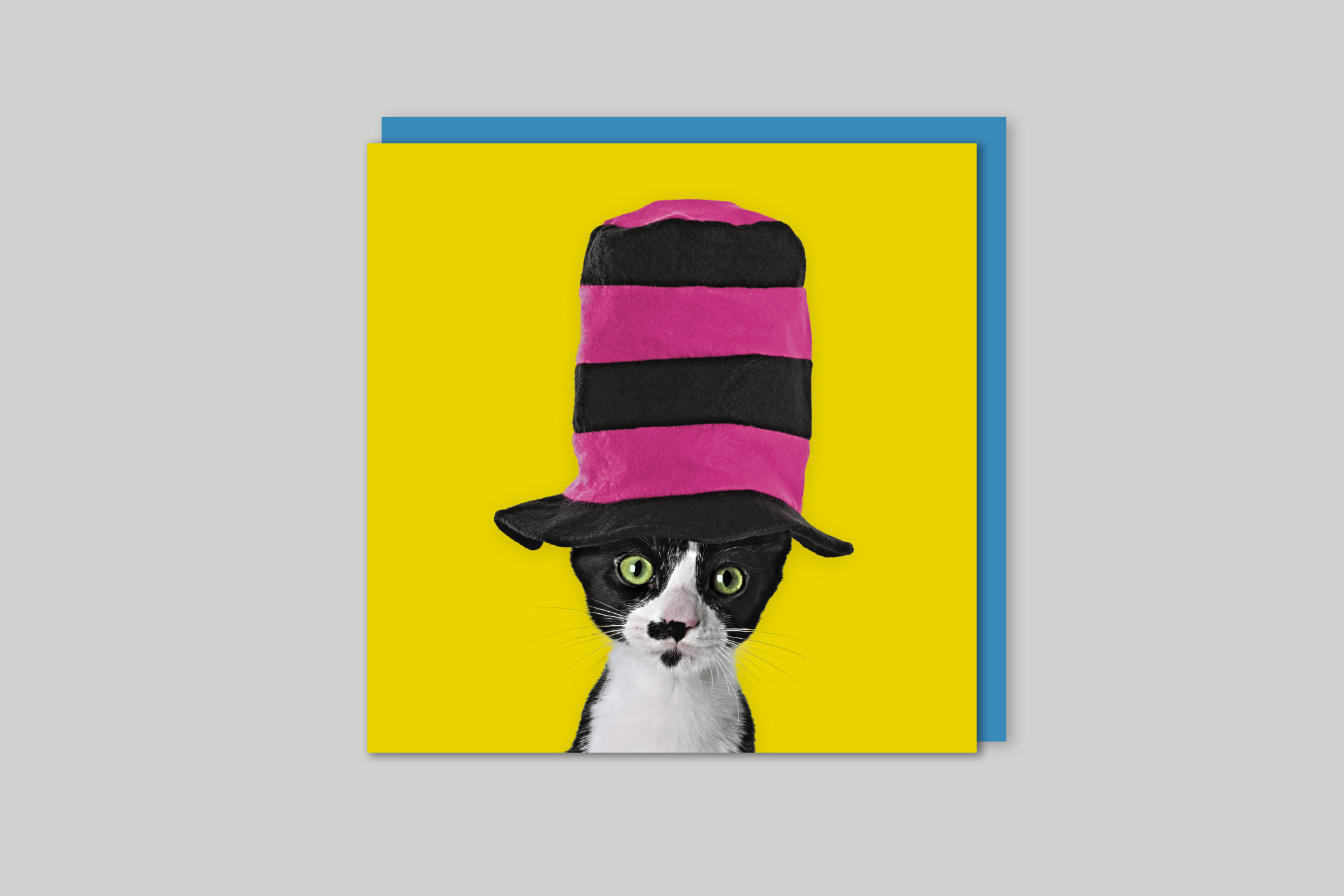 Top Hat from Wildthings range of greeting cards by Icon, back page.