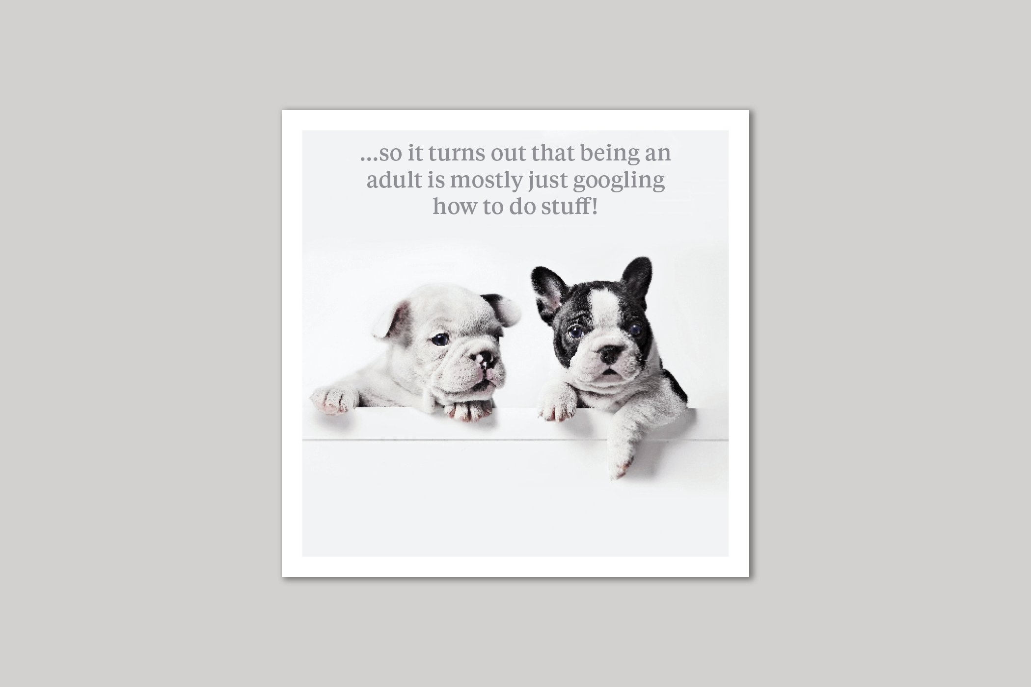 Being An Adult quirky animal portrait from Curious World range of greeting cards by Icon.
