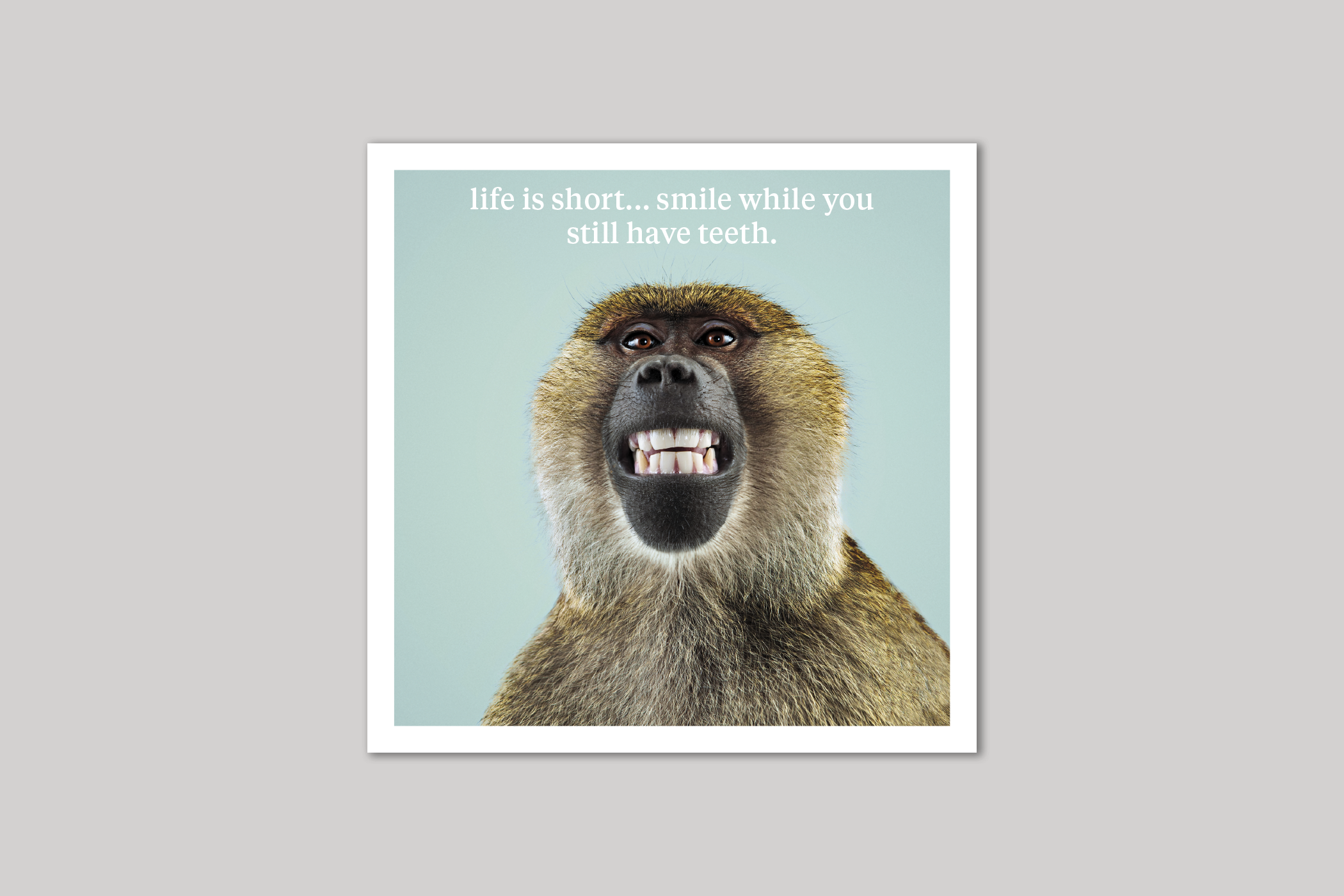 Smile quirky animal portrait from Curious World range of greeting cards by Icon.