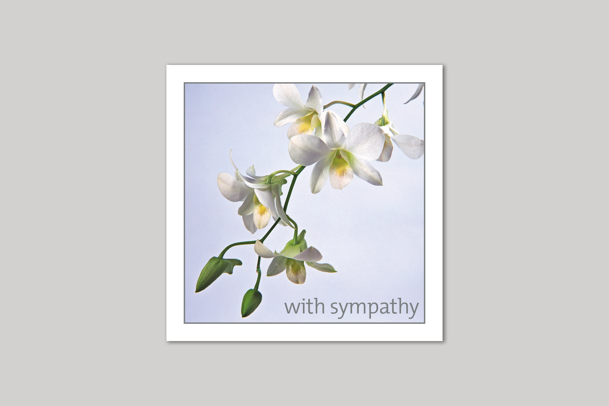 White Orchids sympathy card from Exposure Silver Edition range of greeting cards by Icon.